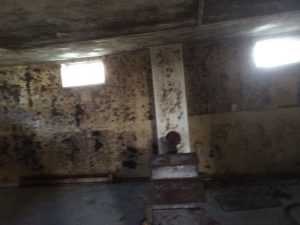 mold on basement walls