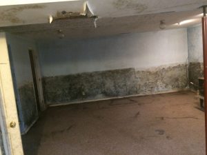 Mold Removal Needed in Pennsylvania Basement