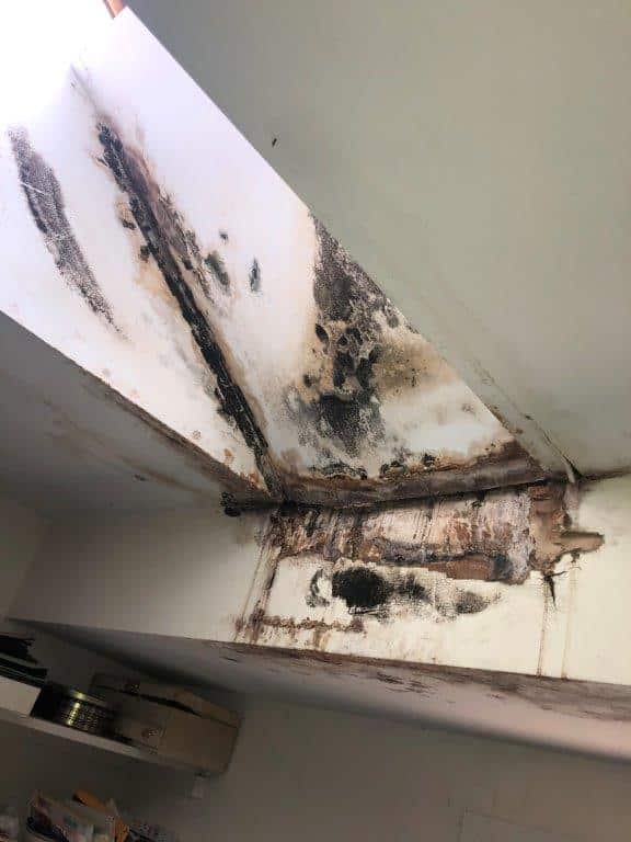 black toxic mold on ceiling