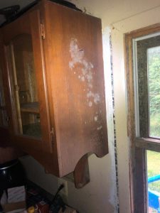 mold removal kitchen cabinet